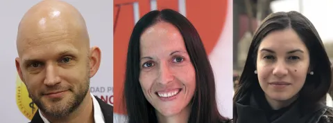 Panel de Expertos VIU Manual Telesalud Mental