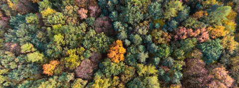 MC El futuro de la Biotecnología