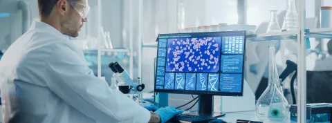 Imagen Portada GU Bioinformática