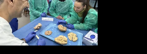 Curso Neuro Alzira 2025 Header