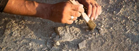 Imagen Portada La arqueología forense y su aplicación al análisis histórico del conflicto bélico