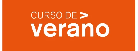 Logo Viu Curso de Verano 2020.jpg