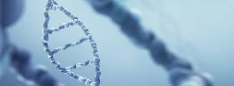 Máster Universitario en Bioética OK.jpg