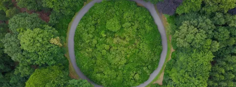 Economía circular VIU