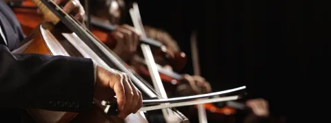 No cría hierba logo