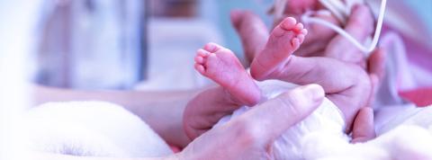 Plano detalle de los pies de un bebé prematuro y las manos de su cuidadora dentro de la incubadora