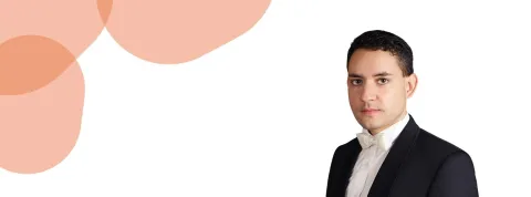 Robert Ferrer Llueca VIU