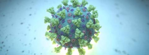 a-computer-image-created-by-nexu-science-communication-together-with-trinity-college-in-dublin-shows-a-model-structurally-representative-of-a-betacoronavirus-which-is-the-type-of-virus-linked-to-covid-19-better-know.jpg
