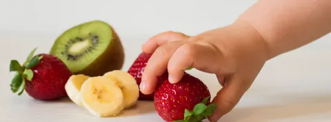 Alimentación complementaria