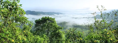 Proyecto huella de carbono