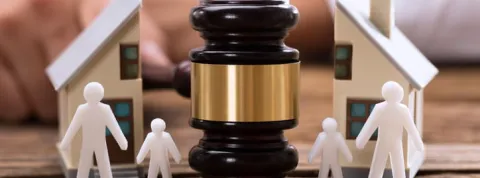 audiencia unica de alimentos