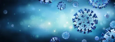 bacteriofagos (1).jpg