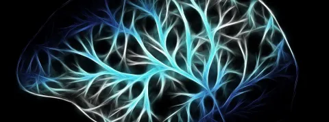 procesos psicológicos Perú