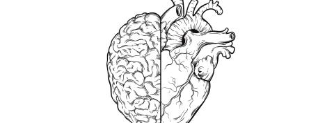cerebro amor.jpg