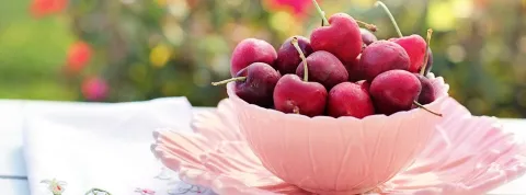 nutricionista y dietista 