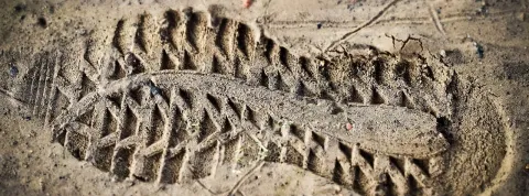 criminalística Ecuador