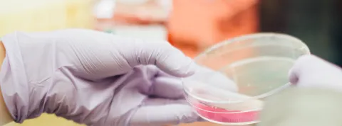 Mesa redonda Semana de la Ciencia