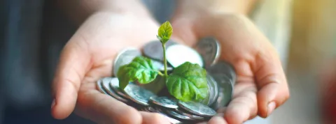manos-sosteniendo-monedas-y-una-planta-como-simbolo-de-la-economia-verde
