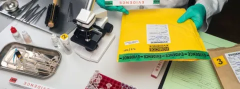 estudiar criminologia