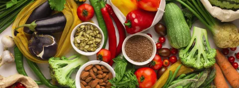 estudiar nutrición humana-min.png