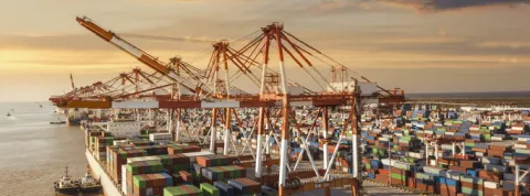 estudiar supply chain management-min.png