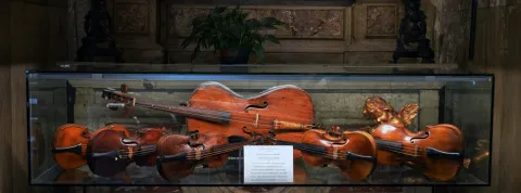 cinco-violines-y-un-violonchelo-en-una-urna-son-instrumentos-con-los-que-se-puede-estudiar-la-etnomusicologia