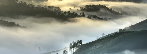 que-es-gestion-ambiental