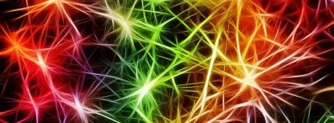 modelo conexionista en neuropsicología