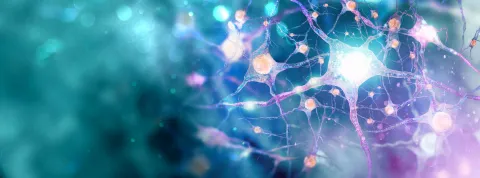 rehabilitación neurológica