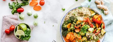 grafico-explicativo-sobre-la-nutricion-autotrofa-y-heterotrofa-y-su-impacto-en-las-nuevas-tecnologias