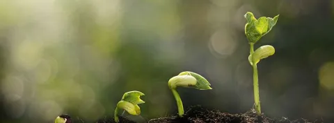 psicología-evolutiva_opt