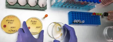 reservorio epidemiologia (1).jpg