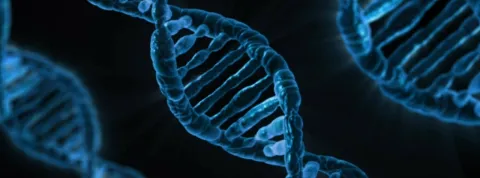 la-secuenciacion-masiva-permite-analizar-y-secuenciar-millones-de-fragmentos-de-adn-como-los-de-esta-cadena