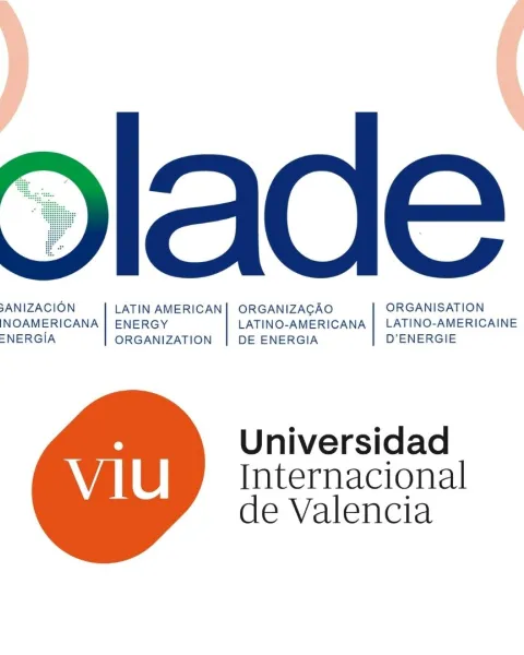 Acuerdo VIU OLADE