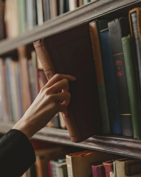 Velada literaria