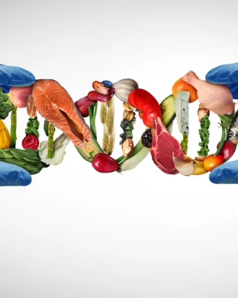 Imagen Portada I Congreso Nutrición y Alimentación