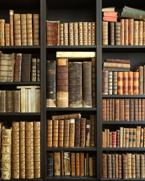 Cotidiano en Literatura