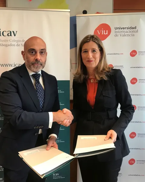 Firma ICAV 2