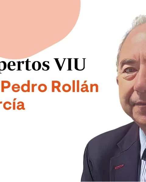 Dr. Pedro Rollán García VIU