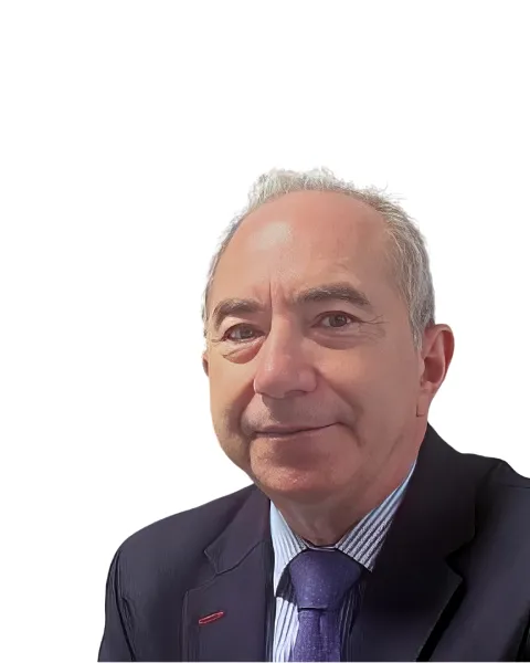 Dr. Pedro Rollán García VIU