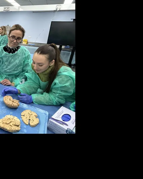 Curso Neuro Alzira 2025 Header