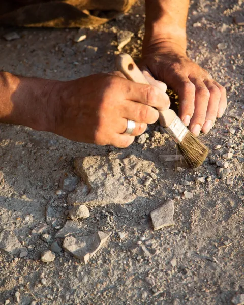 Imagen portada Simposio Internacional de Arqueología y Antropología Forense ante conflictos contemporáneos
