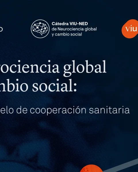 Informe VIU-NED card