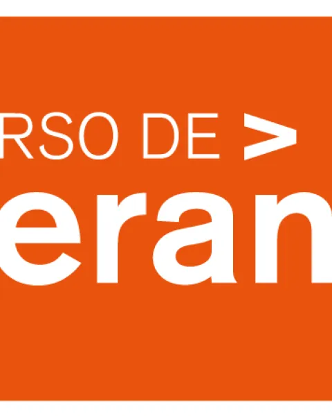 Logo Viu Curso de Verano 2020_0.jpg