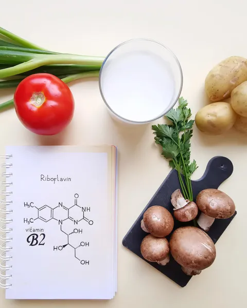 Máster Universitario en Nutrición Humana.jpg