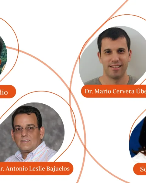 Panel de Expertos - Matemáticas