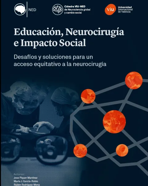 Portada Segundo Informe Cátedra VIU-NED