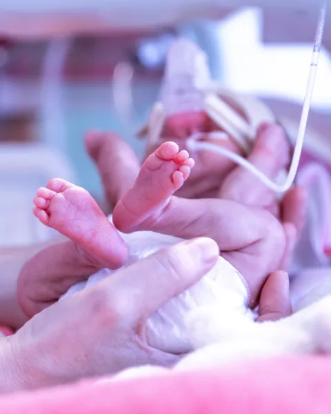 Plano detalle de los pies de un bebé prematuro y las manos de su cuidadora dentro de la incubadora