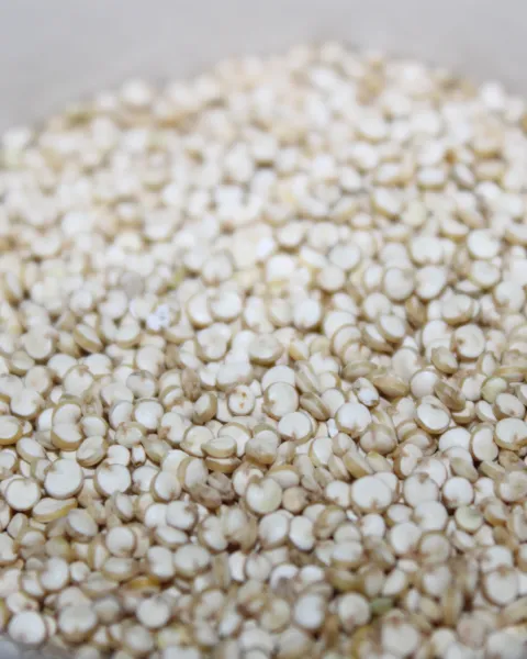 Imagen de una toma cercana de granos de quinoa sobre un fondo claro
