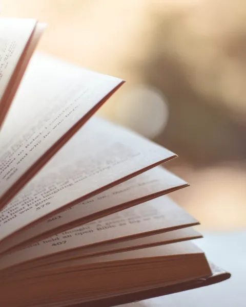 Recursos literarios